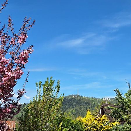 Apartament Na Brzyzku Zakopane Exteriör bild