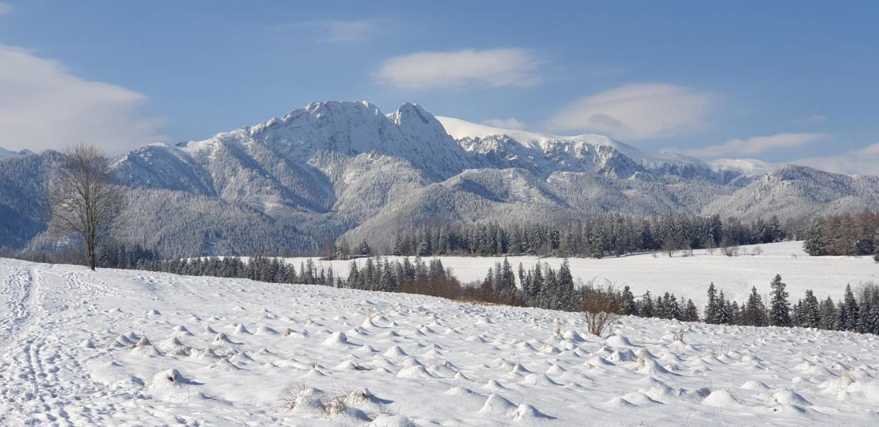 Apartament Na Brzyzku Zakopane Exteriör bild
