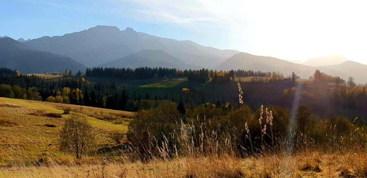 Apartament Na Brzyzku Zakopane Exteriör bild